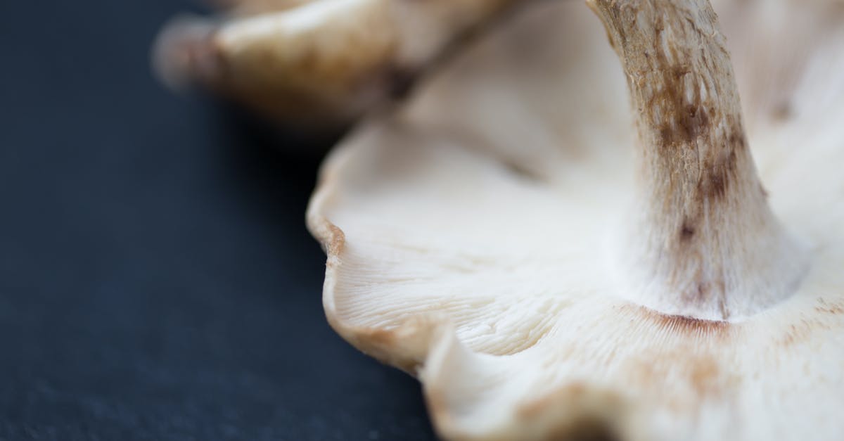 Cooked or raw mushrooms on pizza? - White Mushrooms Cooked or raw mushrooms on pizza? - White Mushrooms