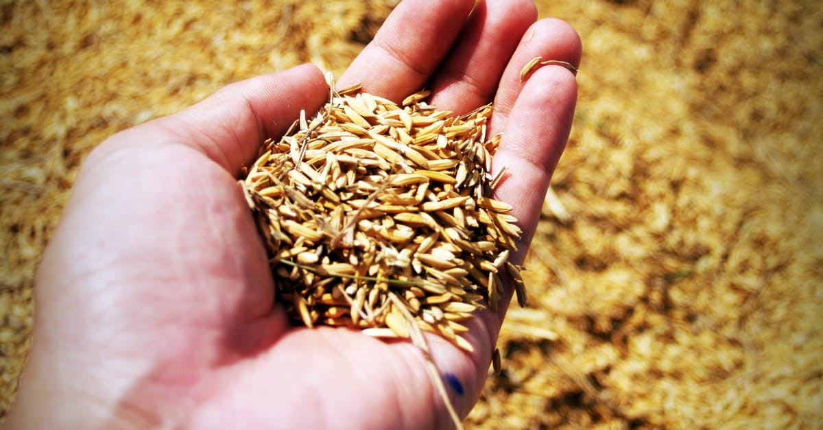 Cooking and storing rice for a whole week - Brown Rice Grains Cooking and storing rice for a whole week - Brown Rice Grains