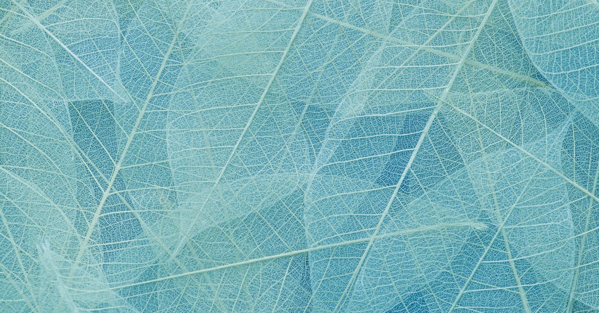 Cooking fishcakes for 1 year old---how to hold shape AND get soft juicy texture? - Leaf Background Cooking fishcakes for 1 year old---how to hold shape AND get soft juicy texture? - Leaf Background