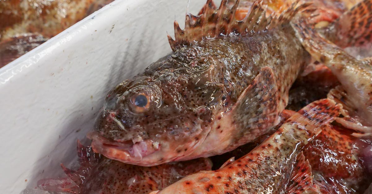 Cooking temperature and time adjustments for cooking several whole fish in a conventional oven? - Brown and White Fish in White Plastic Container