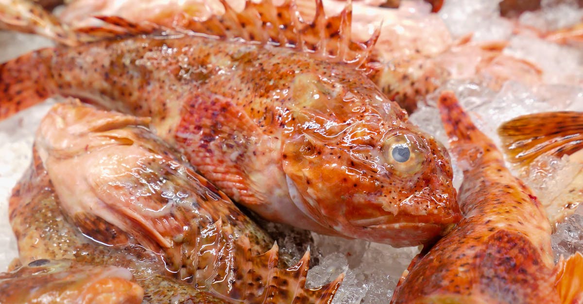 Cooking temperature and time adjustments for cooking several whole fish in a conventional oven? - Orange and White Fish on Ice