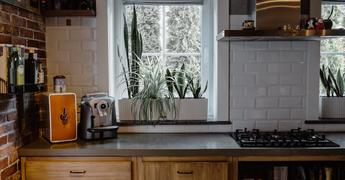 Countering the oven spring, on purpose - Kitchen Room With Ornamental Plants Countering the oven spring, on purpose - Kitchen Room With Ornamental Plants
