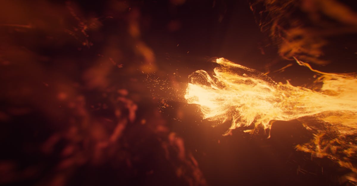 Crème brûlée without torch - Fire in the Middle of Forest Crème brûlée without torch - Fire in the Middle of Forest