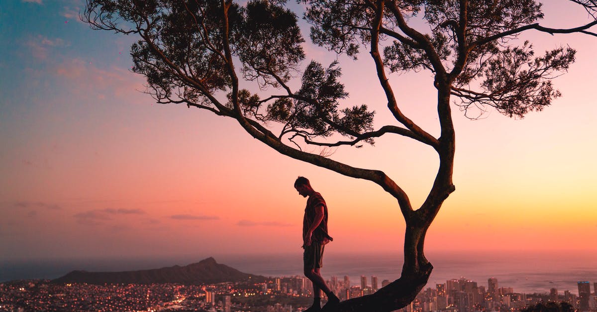 Create a water + baking soda solution? - Man Standing on Tree Branch during Sunset Create a water + baking soda solution? - Man Standing on Tree Branch during Sunset