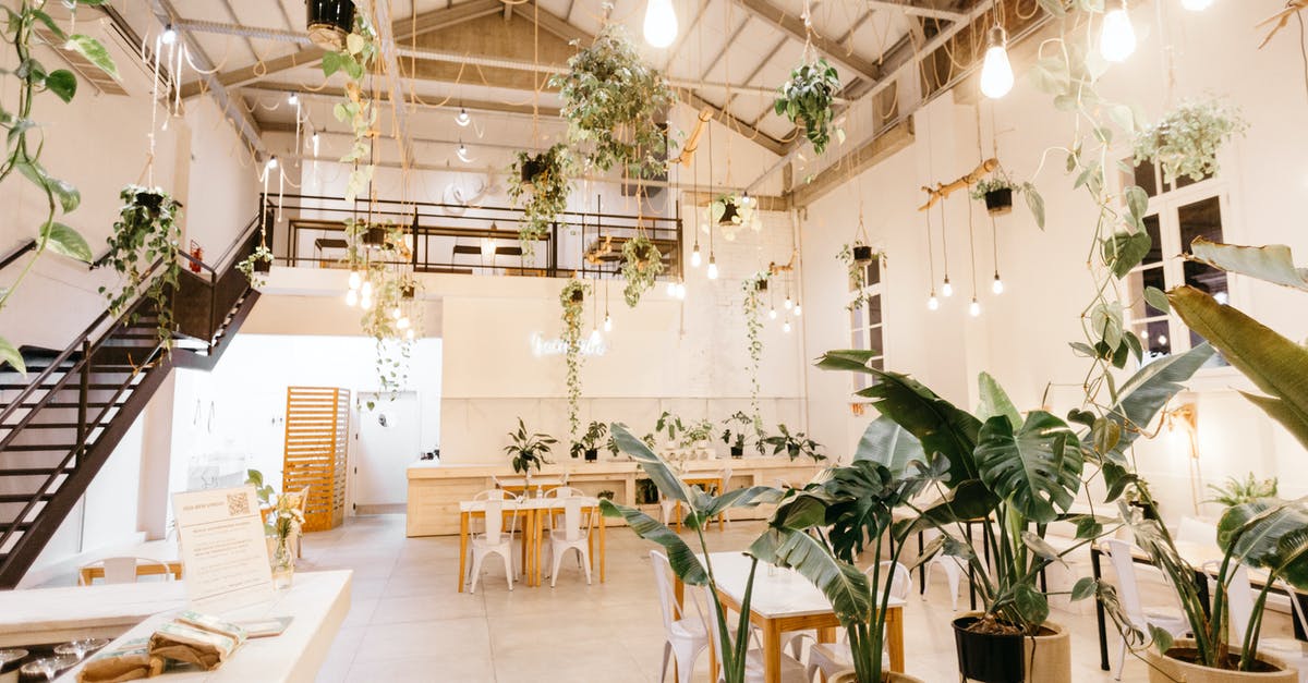 Crock pot left on high for longer than recipe called for - Creative design of bright stylish cafe Crock pot left on high for longer than recipe called for - Creative design of bright stylish cafe