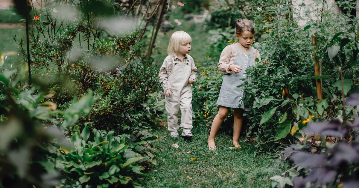 Curious mold growth in a sealled BBQ, how does one avoid it? - Cute siblings resting in green garden