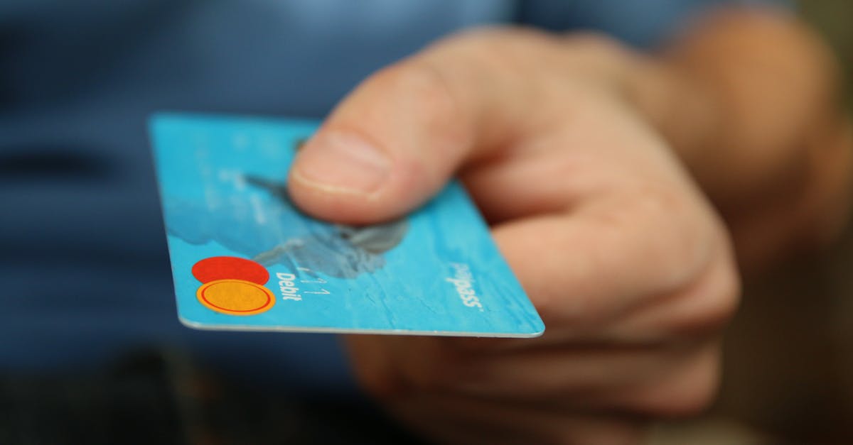 Curries as receptors of odor transfer in refrigirators - Person Holding Debit Card Curries as receptors of odor transfer in refrigirators - Person Holding Debit Card