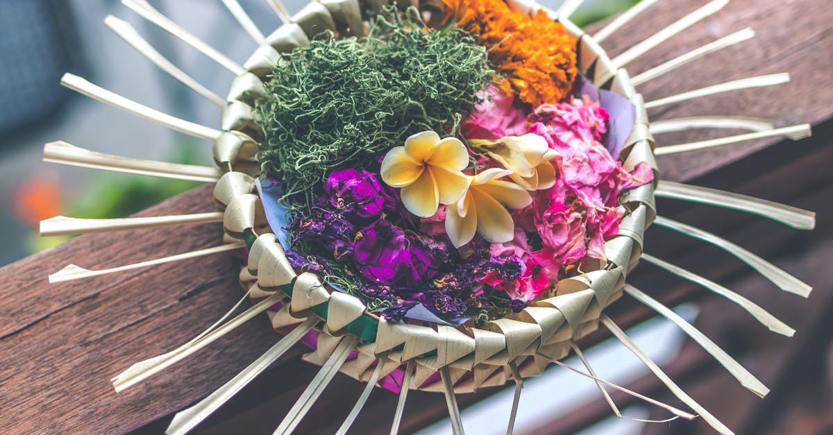Day 8 of Sourdough Starter, is it still alive? - Shallow Focus Photography of Multicolored Floral Decor Day 8 of Sourdough Starter, is it still alive? - Shallow Focus Photography of Multicolored Floral Decor
