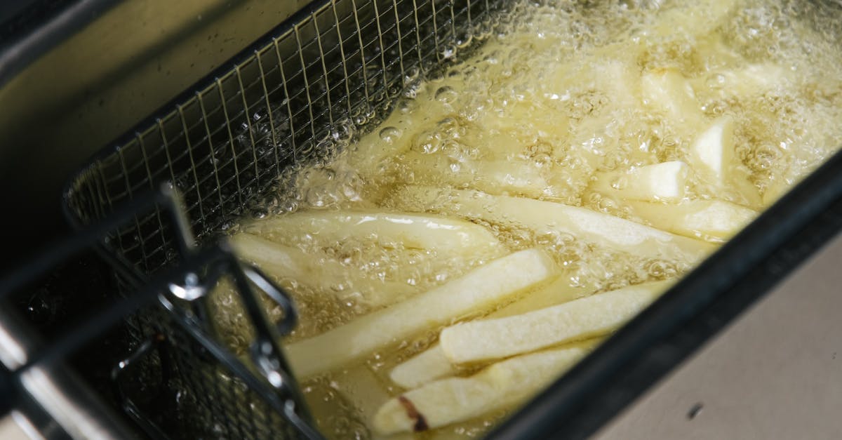 Deep fryer oil guidelines - Photograph of French Fries Being Deep Fried