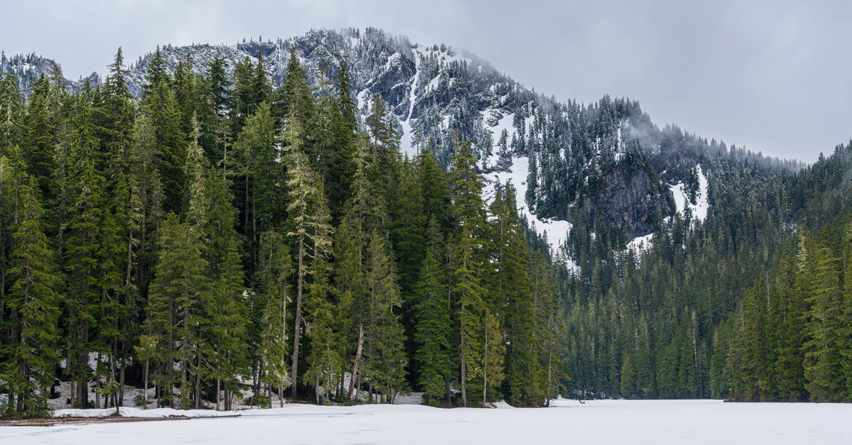 dehydrator temperatures - Mountains in Winter dehydrator temperatures - Mountains in Winter