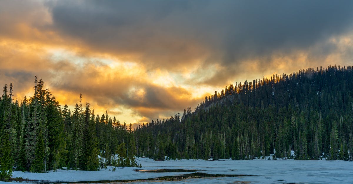 dehydrator temperatures - Green Trees on Snow Covered Ground dehydrator temperatures - Green Trees on Snow Covered Ground