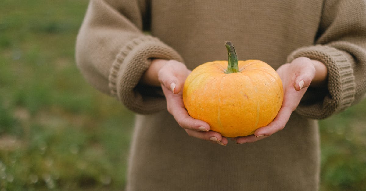 Delicata squash - good outside but not sure about inside - Crop woman with pumpkin in hands Delicata squash - good outside but not sure about inside - Crop woman with pumpkin in hands