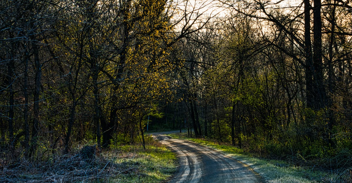 Difference between two cleavers - straight back vs curved - Curve Road Between Trees Difference between two cleavers - straight back vs curved - Curve Road Between Trees