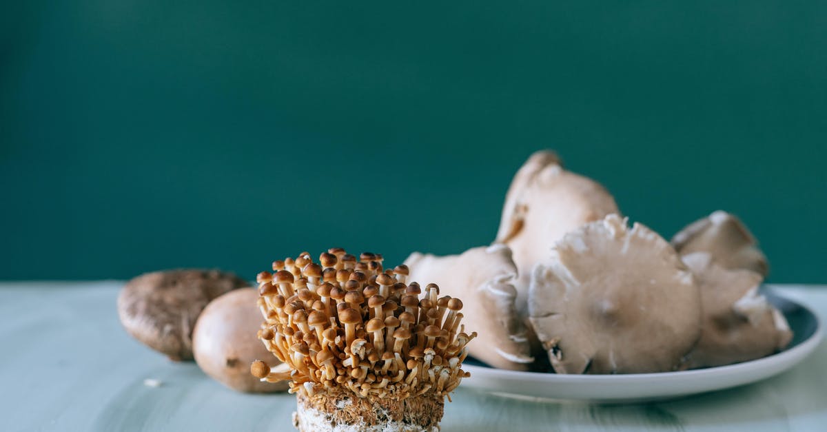 Differences in creme fraiche recipe - Small brown nameko mushrooms placed on white table of kitchen on green background Differences in creme fraiche recipe - Small brown nameko mushrooms placed on white table of kitchen on green background
