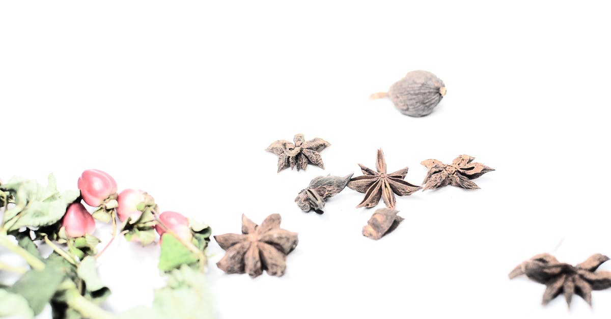 Differences/Similarities between cinnamon and nutmeg - Fragrant nutmeg placed near aromatic cinnamon and red berries of hawthorn with green leaves on white background