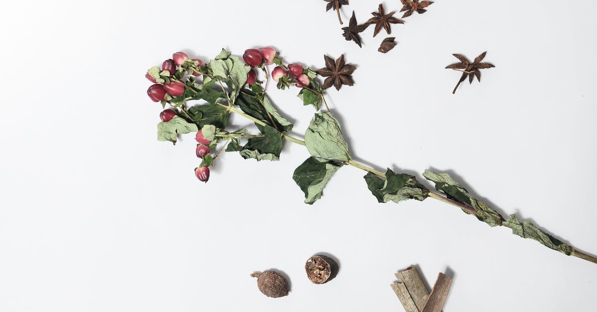 Differences/Similarities between cinnamon and nutmeg - Hypericum with dried green leaves and long stem near anise
