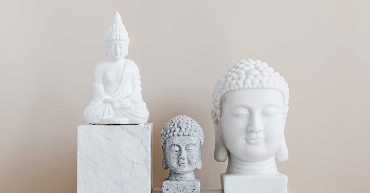Different ways for aging steaks - Collection of Asian busts and statue of Buddha made of white and gray stone with smooth surface on marble pedestal Different ways for aging steaks - Collection of Asian busts and statue of Buddha made of white and gray stone with smooth surface on marble pedestal