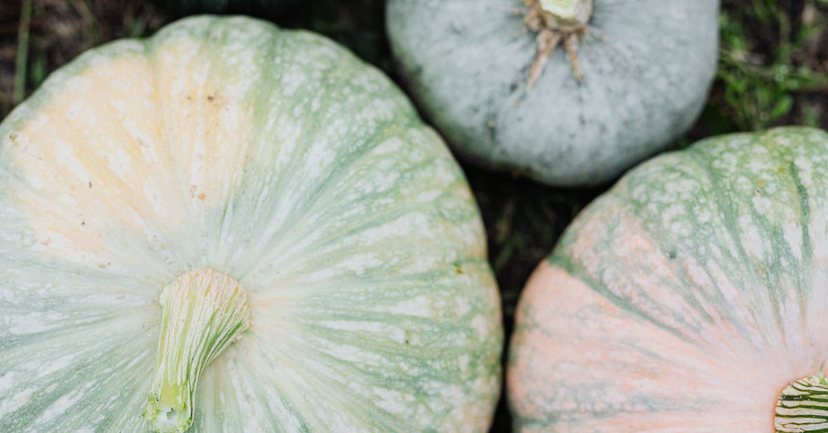 Discolouration when boiling green vegetables with lid on - Close up of Pumpkins Discolouration when boiling green vegetables with lid on - Close up of Pumpkins