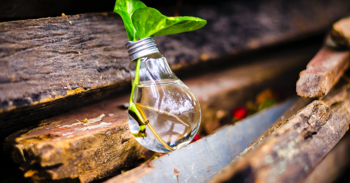 Discworld cookbook question [closed] - Close-up of Beer Bottles on Wood