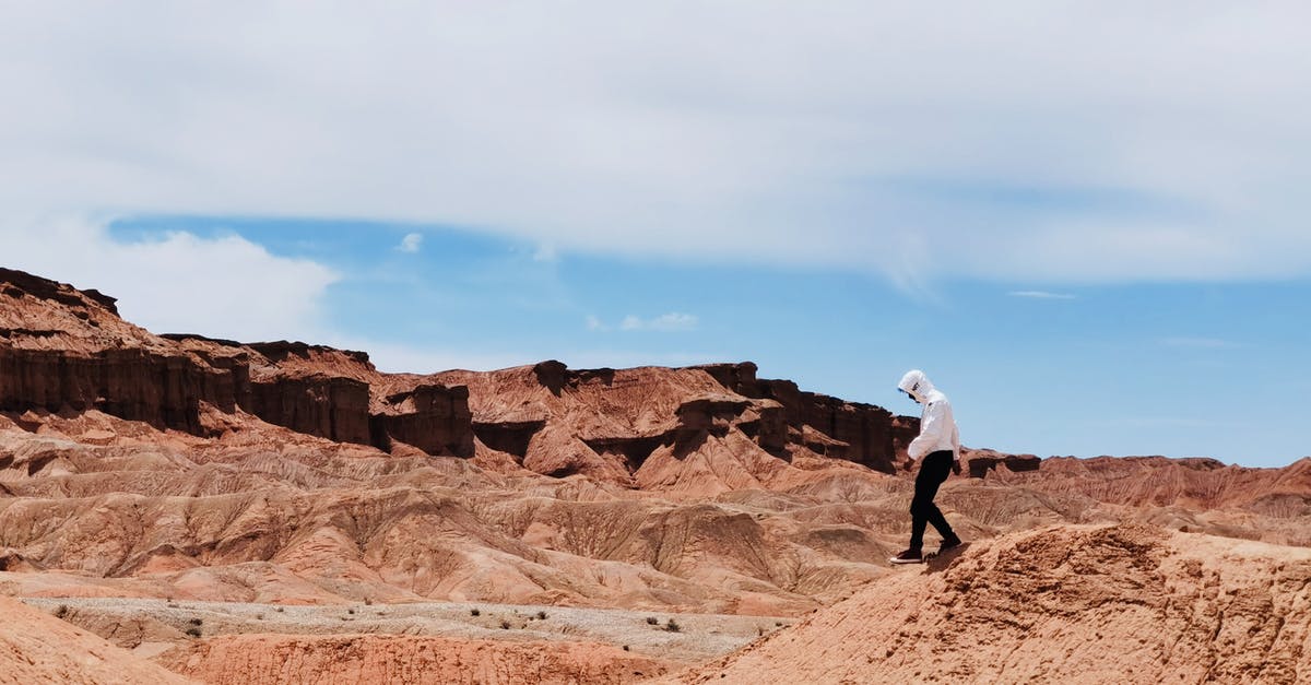 Dishwasher with side brackets for on top shelf: what are they for? - Man Wearing Hoodie Walking on the Desert