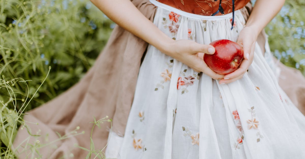 Disney dole whip variants - Woman in White and Red Floral Dress Holding Red Apple Fruit Disney dole whip variants - Woman in White and Red Floral Dress Holding Red Apple Fruit