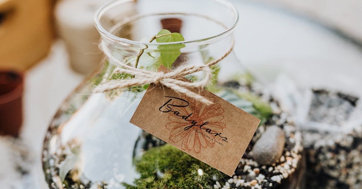 DIY herb preservation - Green Plant in Clear Glass Jar DIY herb preservation - Green Plant in Clear Glass Jar