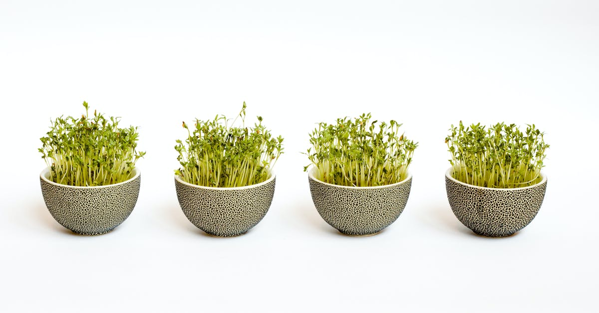 DIY Pot Noodle safe ingredients - Green-leafed Plants DIY Pot Noodle safe ingredients - Green-leafed Plants