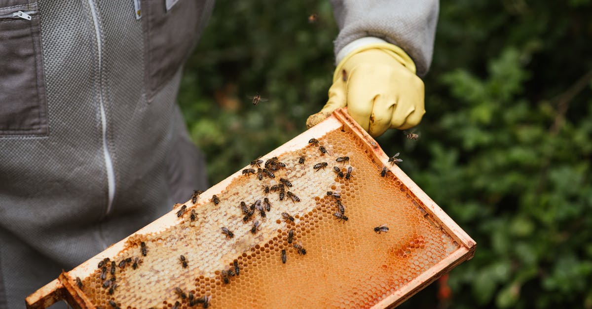 Do grains sold as animal feed meet the safety standards for human food? - Crop unrecognizable farmer in protective gloves holding honeycomb with bees and honey while working in apiary Do grains sold as animal feed meet the safety standards for human food? - Crop unrecognizable farmer in protective gloves holding honeycomb with bees and honey while working in apiary