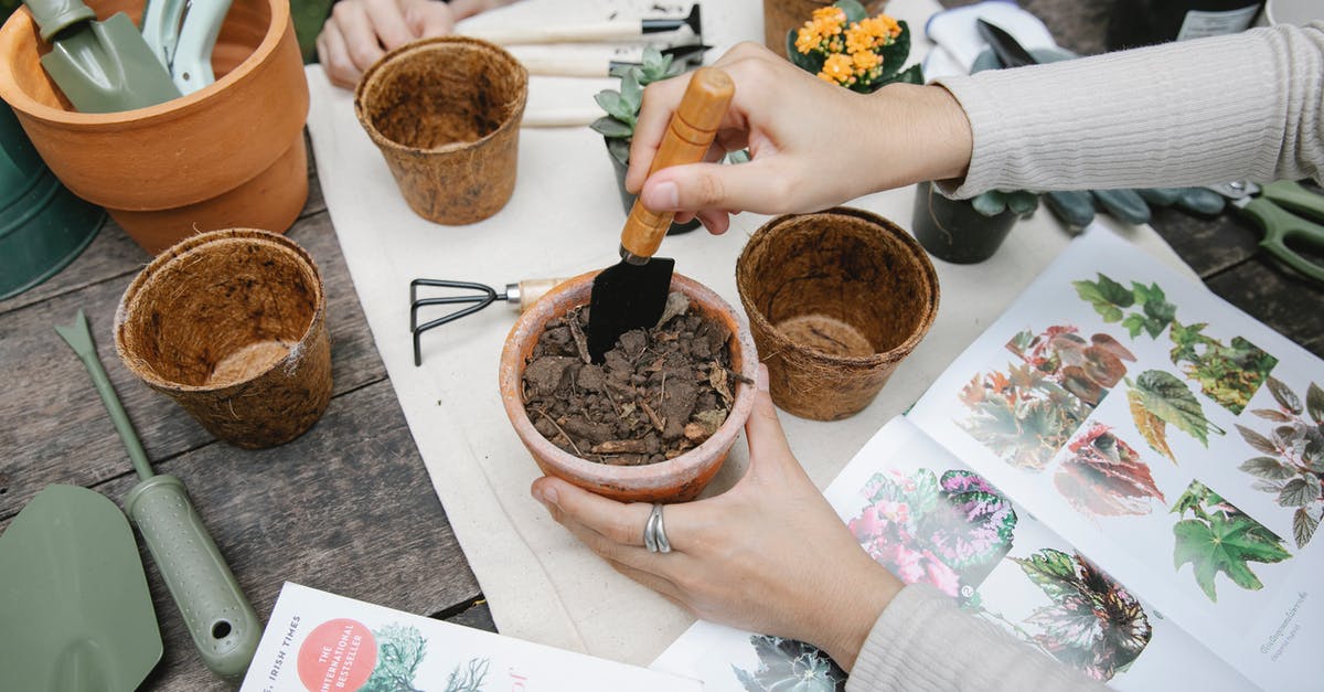 Do ground seeds contain oil? - From above of crop anonymous gardener with shovel preparing soil for seedling at table with opened book with illustrations