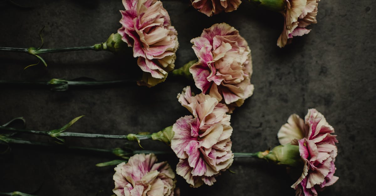 Do I need to remove clove stems before grinding? - Pink and Beige Cloves Do I need to remove clove stems before grinding? - Pink and Beige Cloves