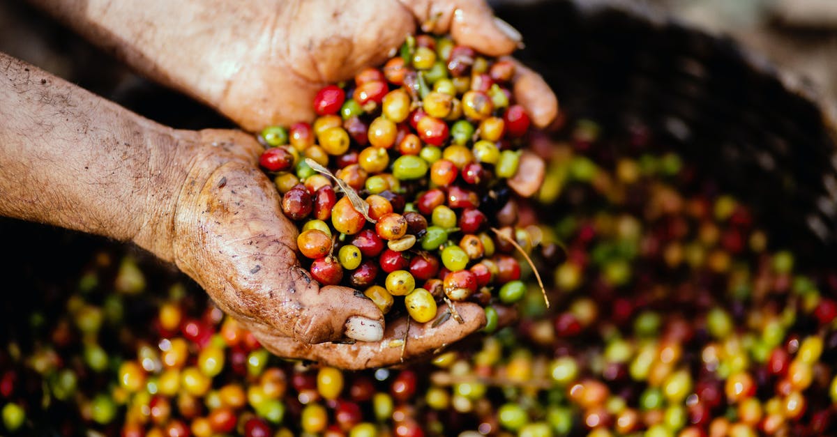 Do I need to soak fresh beans? - Assorted Fruits on Person's Hand