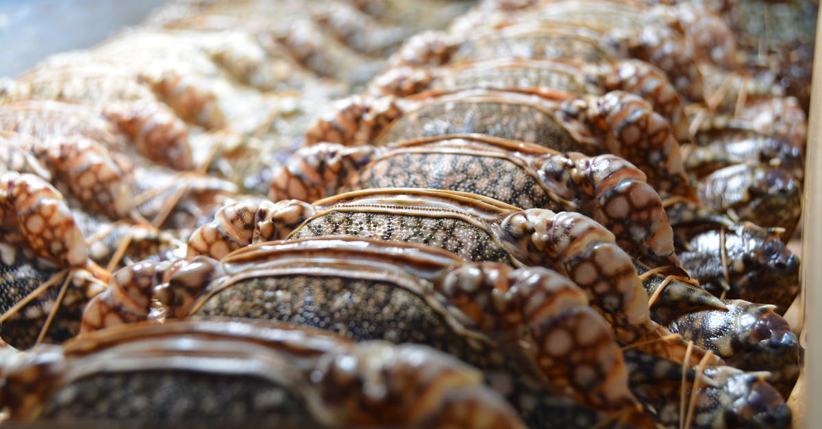 Do I thaw frozen sea food before cooking? - Close-up Photograph of Fresh Crab Do I thaw frozen sea food before cooking? - Close-up Photograph of Fresh Crab