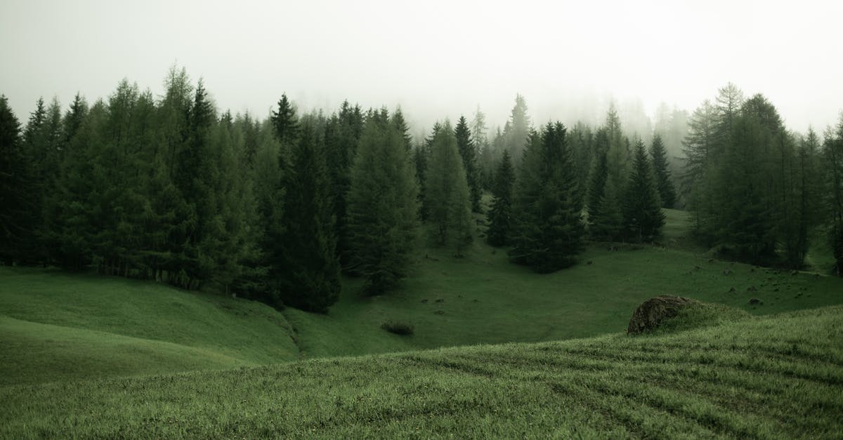 Do magnets dull knives? - Green meadow with trees on cloudy day Do magnets dull knives? - Green meadow with trees on cloudy day