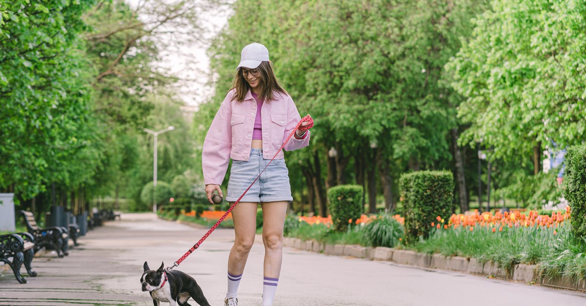 Do sodastream PET bottles have normal 28mm threaded caps? - A Woman Walking Her Pet Dog at a Park