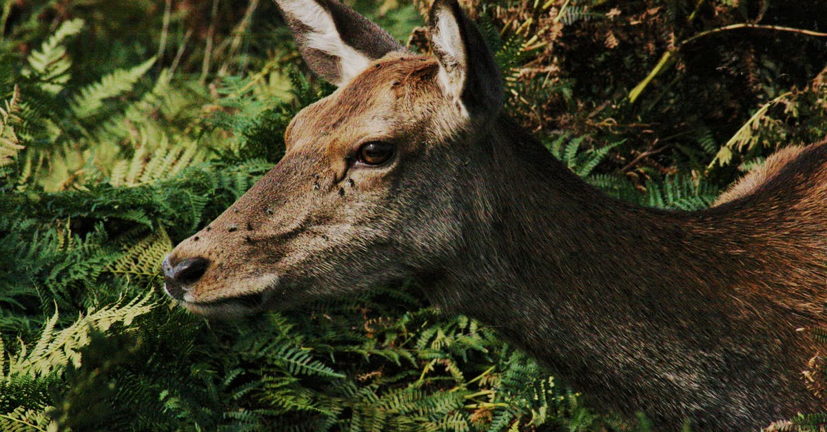 Does a head of lettuce really need to be refrigerated? - Brown Deer Does a head of lettuce really need to be refrigerated? - Brown Deer