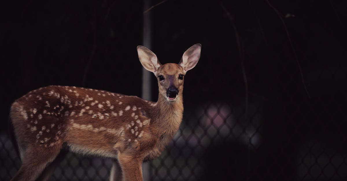 Does invisible mould exist? - A Deer in the Wild Does invisible mould exist? - A Deer in the Wild