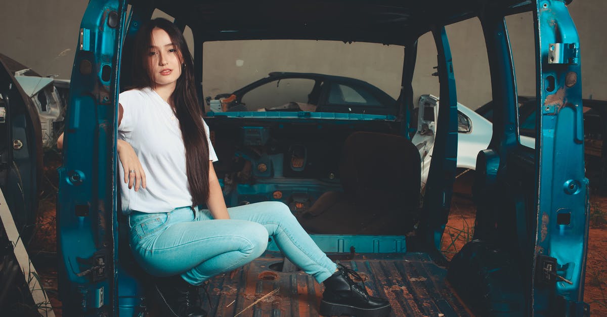 Does jellyfish contian heme or non-heme iron - A Woman in White Shirt Inside a Junk Vehicle Does jellyfish contian heme or non-heme iron - A Woman in White Shirt Inside a Junk Vehicle