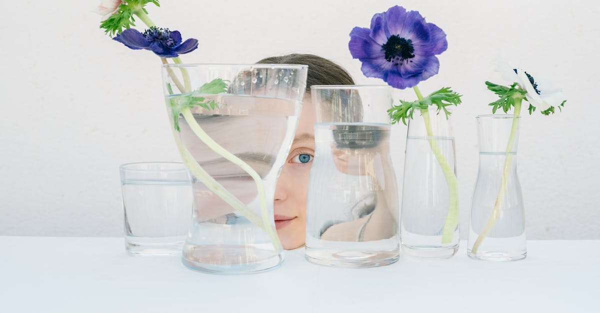 Does putting pandan leaves' stems in water prolong its freshness? - A Woman Behind Glass Vases with Purple Flowers Does putting pandan leaves' stems in water prolong its freshness? - A Woman Behind Glass Vases with Purple Flowers