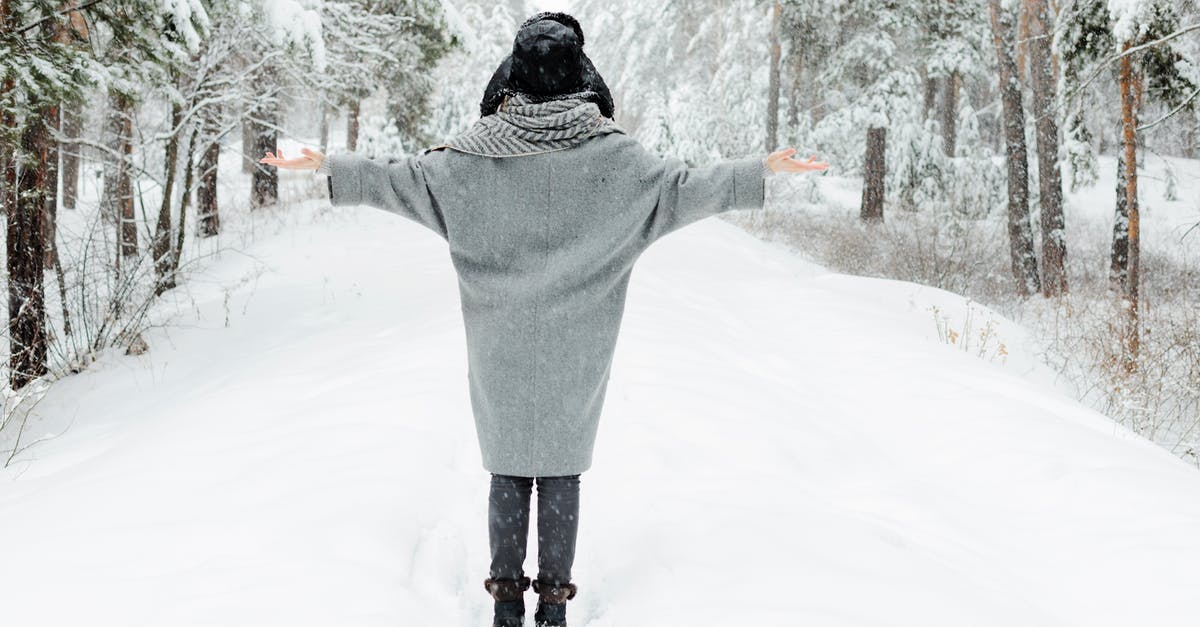 Does repeating freeze -> chill -> freeze -> chill spoil yogurt? - Woman Wearing Gray Topcoat during Snow Season Does repeating freeze -> chill -> freeze -> chill spoil yogurt? - Woman Wearing Gray Topcoat during Snow Season