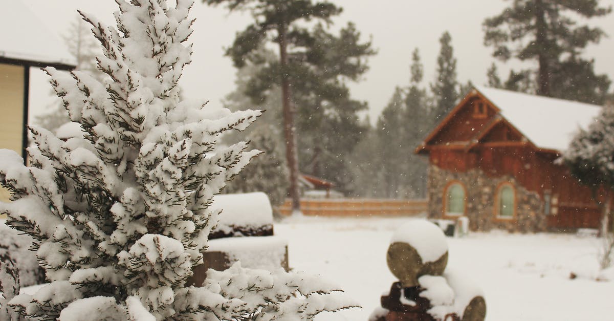 Does repeating freeze -> chill -> freeze -> chill spoil yogurt? - Brown Wooden House Covered With Snow Does repeating freeze -> chill -> freeze -> chill spoil yogurt? - Brown Wooden House Covered With Snow