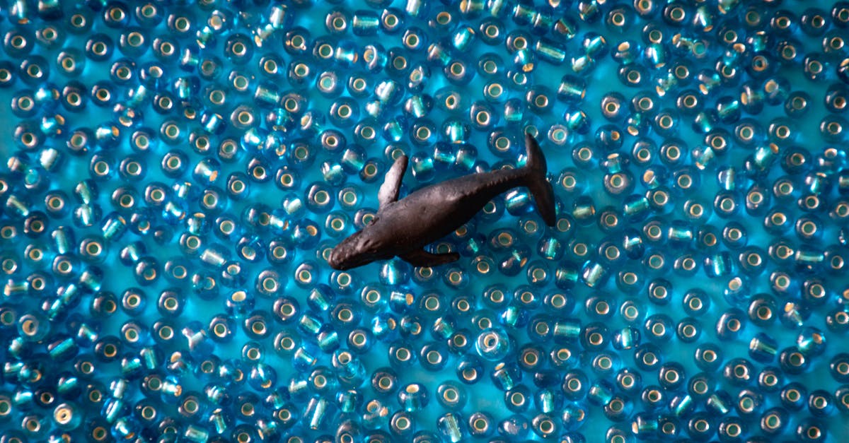 Does resting fish before serving affect its texture or taste? - Black Fish Does resting fish before serving affect its texture or taste? - Black Fish