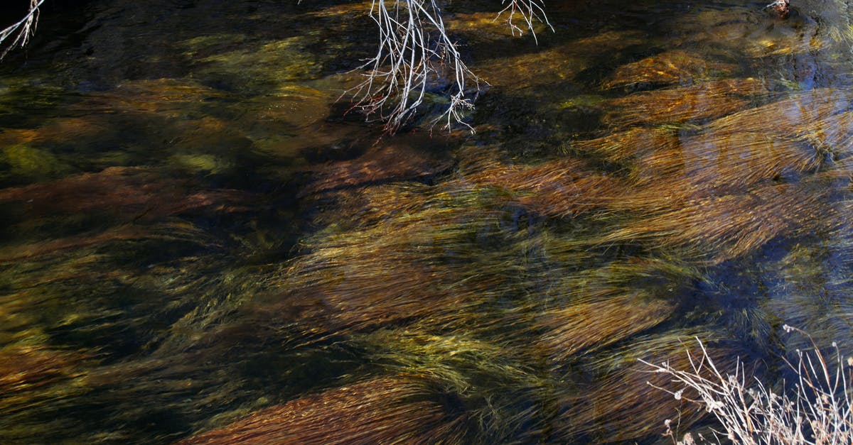 Does seasoned cast iron still need to be oven dried? - From above of calm river with plants growing on bottom flowing along dry grass and leafless trees Does seasoned cast iron still need to be oven dried? - From above of calm river with plants growing on bottom flowing along dry grass and leafless trees