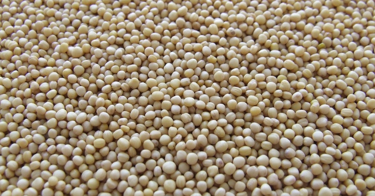 Does soaking dry beans before cooking prevent flatulence? - White Beans