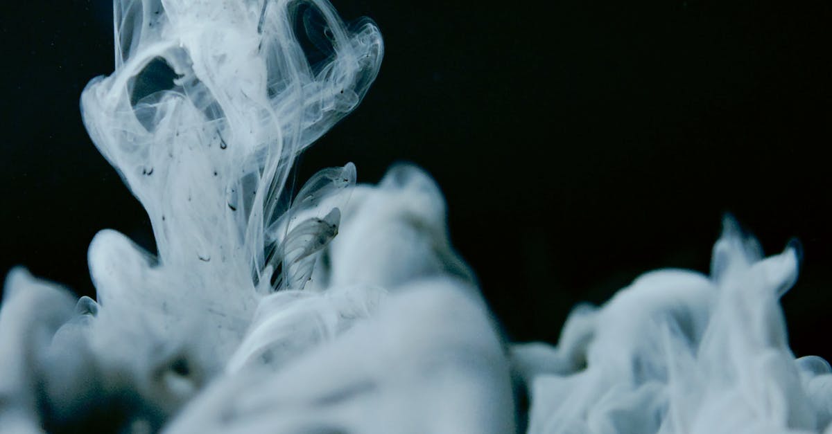 Does squid ink pasta bleed? - Grayscale Photo of White Smoke Does squid ink pasta bleed? - Grayscale Photo of White Smoke