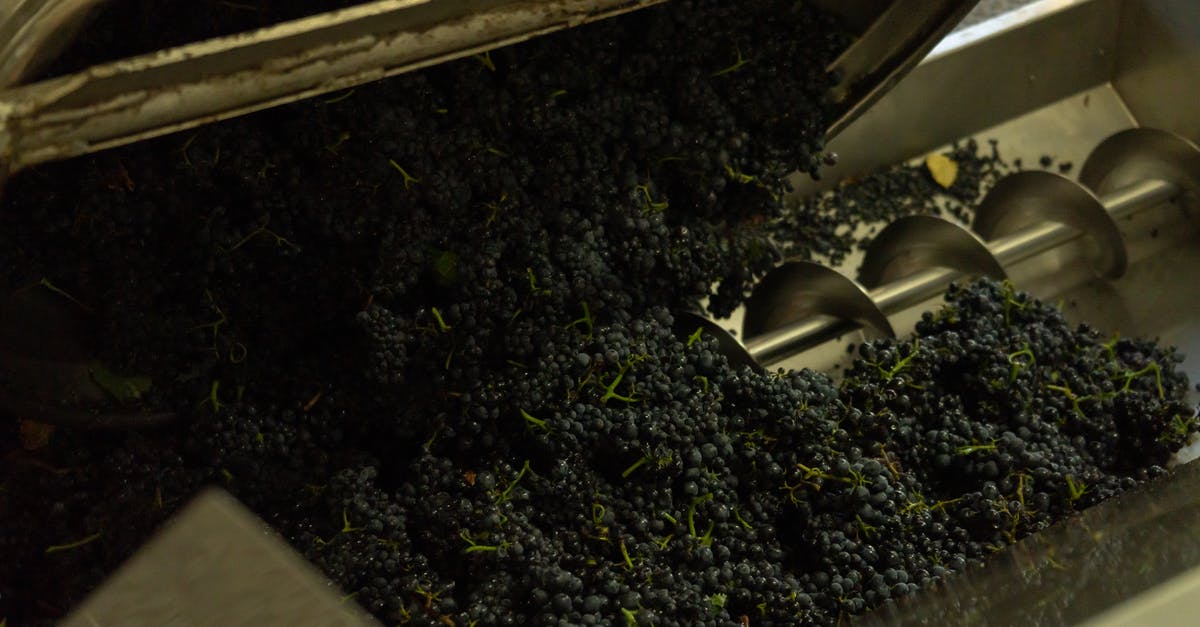 Does the alcohol in wine affect cooking process? - Process of making grape wine in factory Does the alcohol in wine affect cooking process? - Process of making grape wine in factory