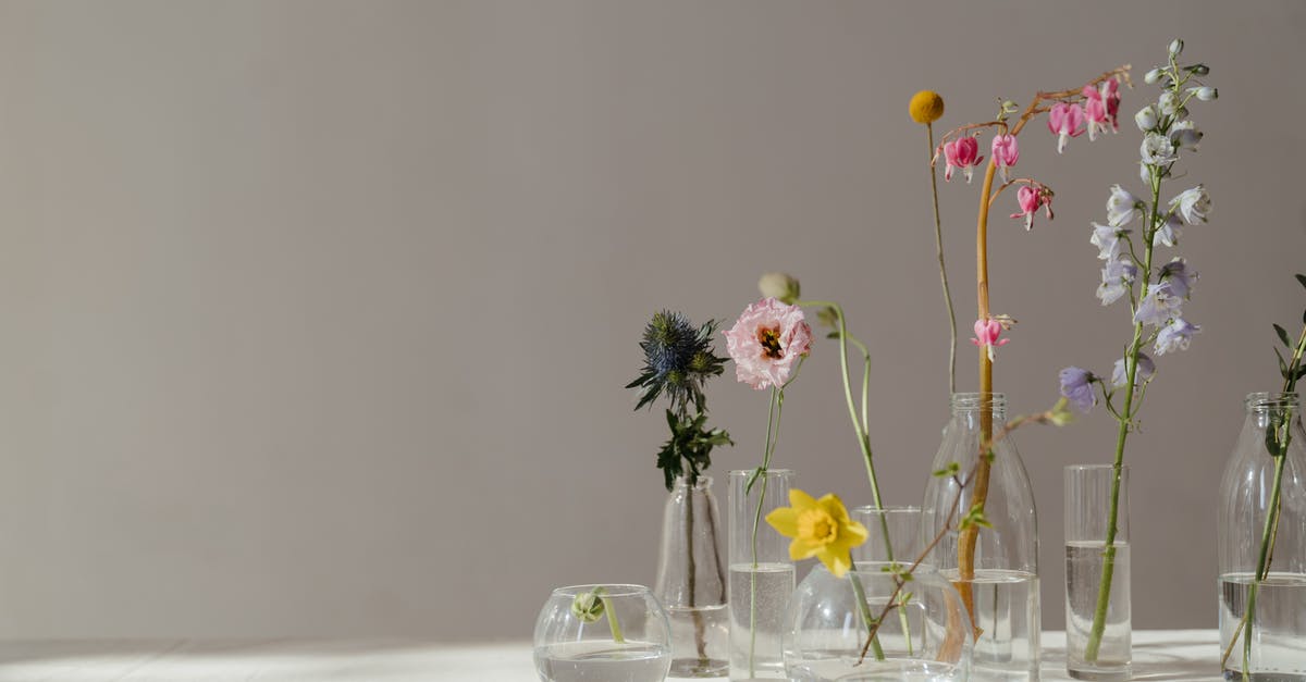 Does wrapping banana stems actually prolong their life? - Photo of Flowers in Glass Vase With Water Does wrapping banana stems actually prolong their life? - Photo of Flowers in Glass Vase With Water