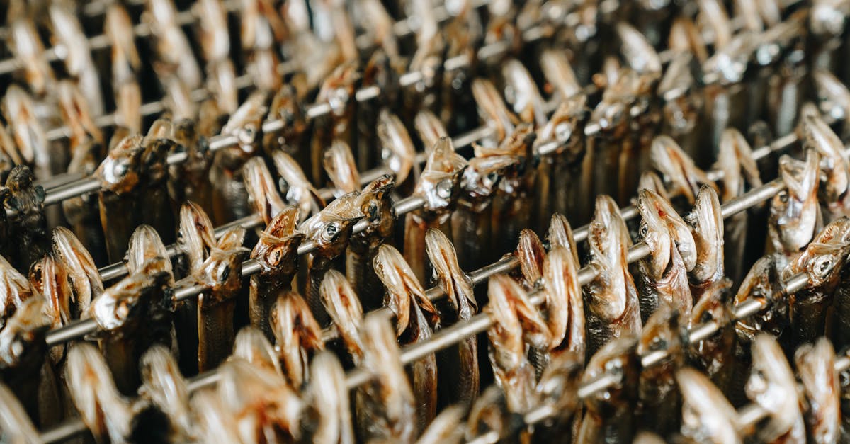 Dried and Salted Fish Fillets (e.g. cod) Sous Vide - Rows of Hanging Dried Fish Dried and Salted Fish Fillets (e.g. cod) Sous Vide - Rows of Hanging Dried Fish