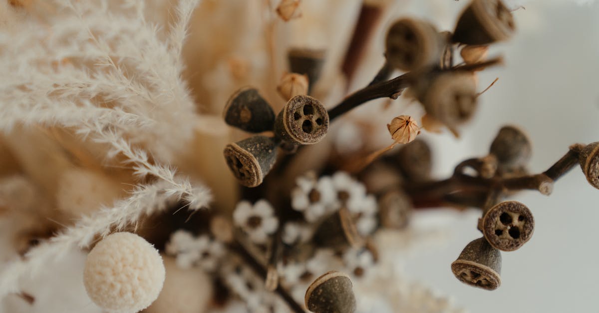 Dried herbs instead of bouquet garni? - White Flowers in Tilt Shift Lens Dried herbs instead of bouquet garni? - White Flowers in Tilt Shift Lens