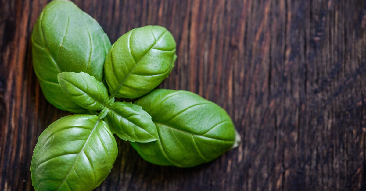 Drying of basil leaf and other herbs - Green Leaf Plant on Brown Wooden Surface Drying of basil leaf and other herbs - Green Leaf Plant on Brown Wooden Surface