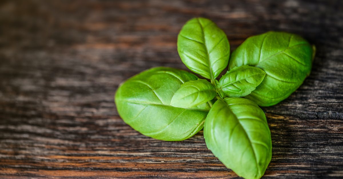 Drying of basil leaf and other herbs - Green Leaves Drying of basil leaf and other herbs - Green Leaves